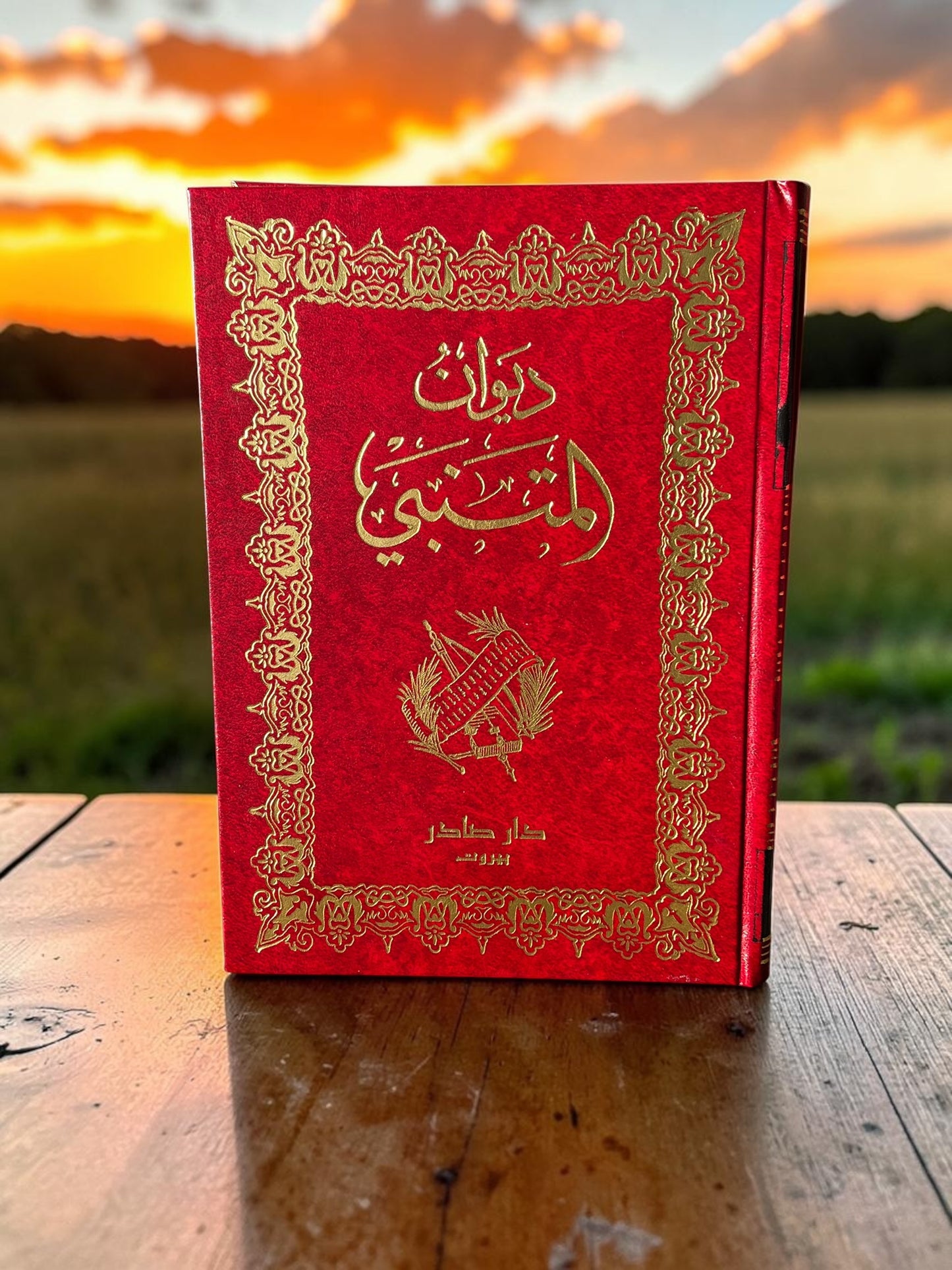 ديوان المتنبي
